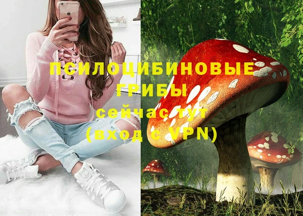МДПВ Пролетарск