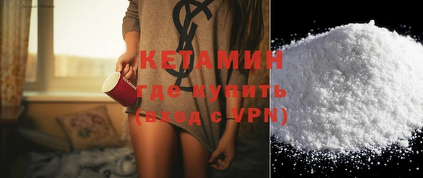 трава Гатчина