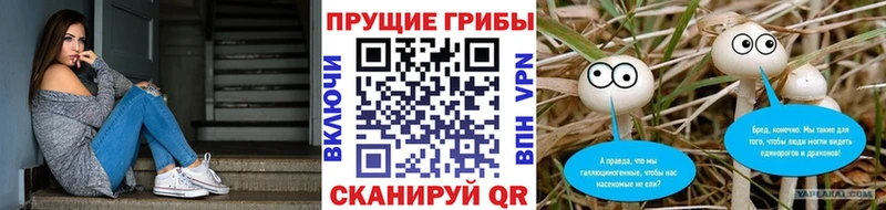 Псилоцибиновые грибы MAGIC MUSHROOMS  Струнино 